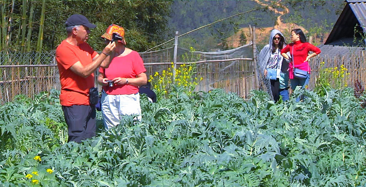 Sapa Trekking Tour with Train